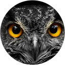 DIEGO CASTAÑ0 profile picture